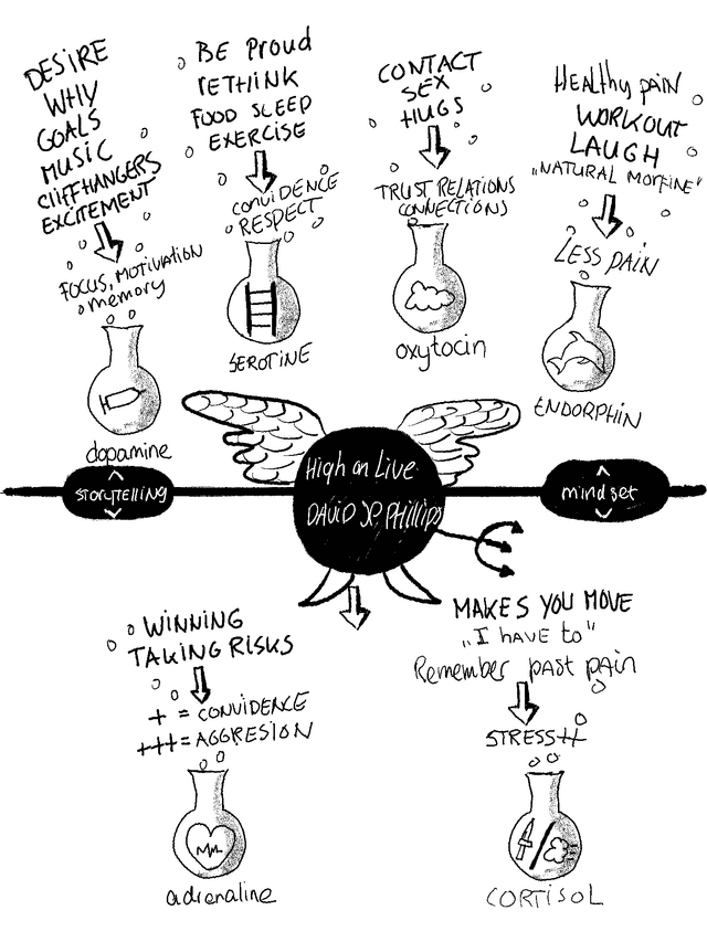 David JP Philips - High on Live